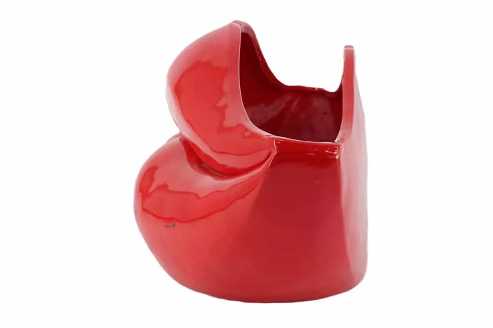 kliknutím zobrazíte maximální velikost obrázku kliknutít zobrazíte maximální velikost obrázku