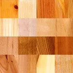 Druh masivního dřeva